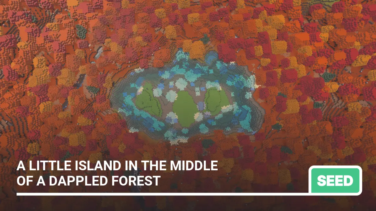 Seed: A Little Island in the Middle of a Dappled Forest